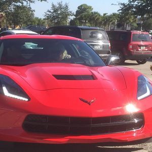 Meet your Posher, Ginger